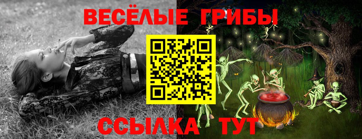 Саранск  купить закладку  Вход с VPN  Псилоцибиновые грибы мицелий 